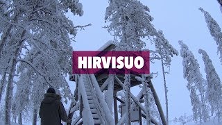 Päiväretki - Hirvisuon soidensuojelualue, joulukuu 2017