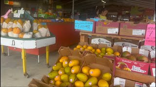 Florida Trip with Family | stoping at farm stand for tropical fruits ទិញផ្លែឈើលក់តាមផ្លូវ