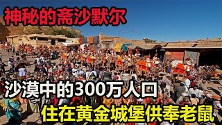 印度人口最拥挤的沙漠，人口300万住黄金城堡，在寺庙供奉老鼠