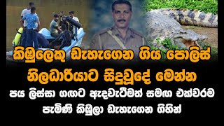 කිඹුලෙකු ඩැහැගෙන ගිය පොලිස් නිලධාරියාට සිදුවූදේ මෙන්න යාළුවා ගිහින්දාලා එනකොට ෆොන් එක දැකලා