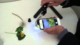 ProScope Micro Mobile Working Distance