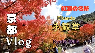 【京都街ブラ日記】2024.11.29  京都市/紅葉の名所 満面の赤色 永観堂(禅林寺) Walking around Eikando Kyoto Japan Walk