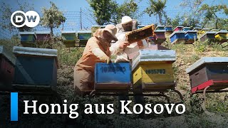 Kosovo: Bio-Honig aus den Bergen | Global Ideas