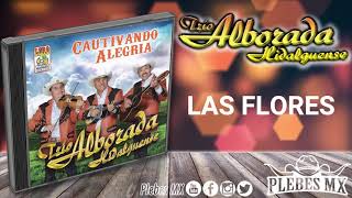 Trio Alborada Hidalguense - Las Flores Huapango