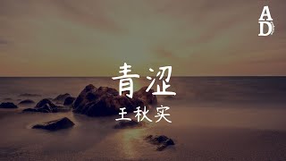 青澀 - 王秋實『那遙遠的以後 沒盡頭 時光慢慢的流 你我走散了』【高音質/動態歌詞/Pinyin Lyrics】