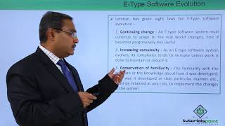 E-Type Software Evolution