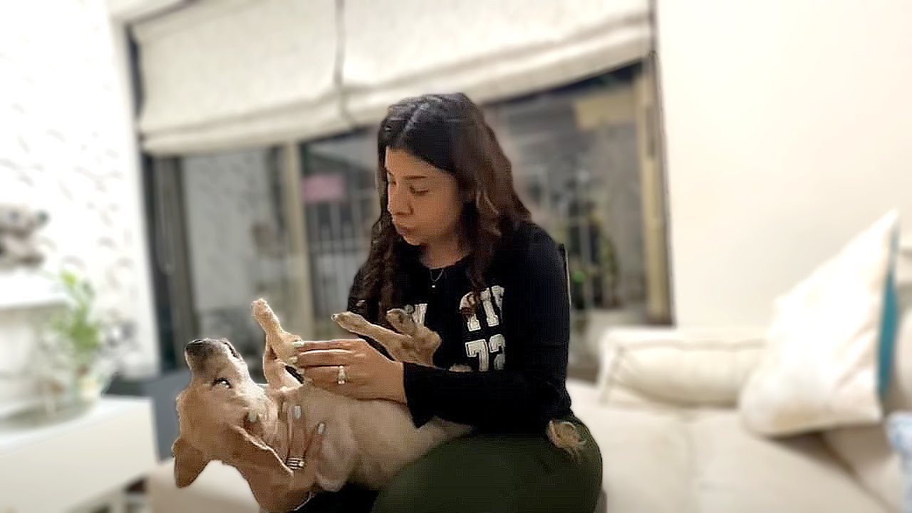 COCO must be in PAIN! | Ss vlogs