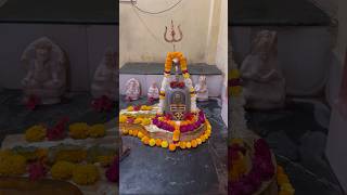 Sananda Manandavane Vasantm - Kashi Vishvnath Shiv Mantra #kashivishwanath #mahakal_status #whatsapp