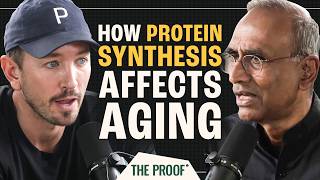 How Protein Synthesis Regulation Impacts Aging and Longevity | The Proof Clips EP #334