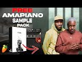 🔥[FREE]🎷Amapiano Sample Pack 2024 | 🎸🐐|  NTSAKO | Kelvin Momo Sample Pack