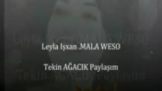 Leyla işxan  lé lé Weso