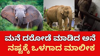 ಆಹಾರ ತಿನ್ನಲು ಮನೆಗೆ ನುಗ್ಗಿದ ಗಜರಾಜ, ಮಾಲೀಕರ ಮುಂದೆ ದರೋಡೆ, |elephant |food