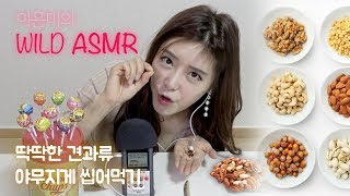 [WILD ASMR] 딱딱한 견과류 야무지게 씹어먹기_영화배우 이은미(Lee eunmi)