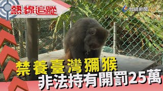 熱線追蹤-合法飼養 全台僅7人