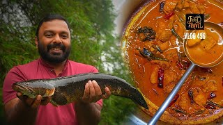 Snake Head Fish Curry in Idukki | പാമ്പിൻ തല മീൻ കറി | Big Varaal Kerala Fish Curry