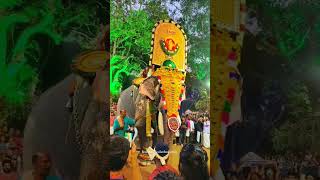 പുതുപ്പള്ളി സാധു || അക്കികാവ് പൂരം 2024 || #trending #viral #2024 #elephant #pooram #festival #new