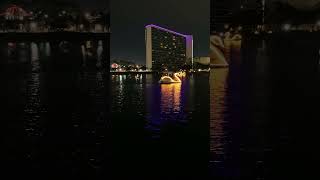 Rainbow Lagoon Park | Swan Boats | #longbeach #mood #night #vibe