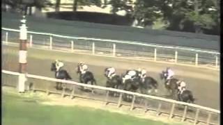 Alysheba, 1987 Triple Crown Bid