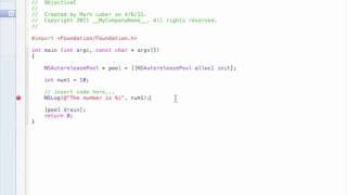 Objective C Programming Guide - Part 2 - Using Variables