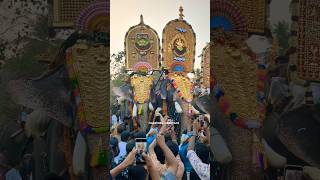 കാളിദാസൻ കാണിച്ചത് കണ്ടോ Balan🔥X കാളി 🔥 മാസ്സ് kallazhi pooram