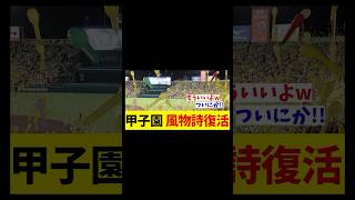 阪神ファンに朗報！？甲子園にあの風物詩が帰ってくる！！！【野球情報】【2ch 5ch】【なんJ なんG反応】【野球スレ】