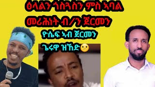 ፉሉይ መደብ መ ኣባል መሪኣሕነት ብ/ን ጀርመን, ቀንዲ ዕላማ ናይዚ ሰሚናር እንታይ ኢዩ?