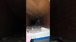 Plumbing Leak Evaluation