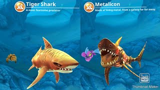 No where to Hide!/Hungry Shark World/Mobile Games