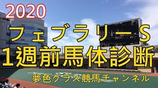 【馬体診断】2020フェブラリーステークス！想定通り出来てる馬、想定以上にできてる馬。インティは○○？