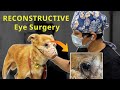 Brown's reconstructive eye surgery - Episode 09