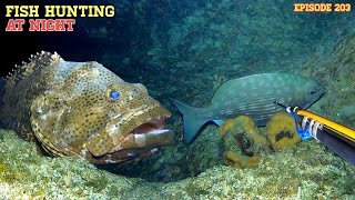 Ep203 NIGHT SPEARFISHING | FISH HUNTING AT NIGHT