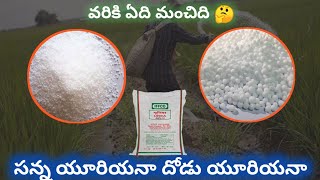 వరిలో ఎ యూరియా మంచిది | vari lo urea | urea fertilizer in paddy | agri mentor