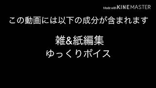 【ゆっくり実況】 【realracing3】ゆっくり達のレーシング教室Part1