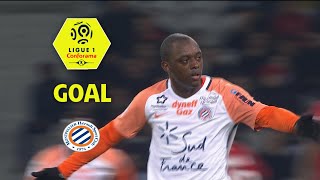 Goal Jérôme ROUSSILLON (64') / LOSC - Montpellier Hérault SC (1-1) / 2017-18