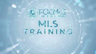 MLS Listing Input: Features Tab