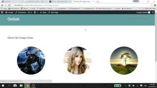 Sb Image Hover Effects Video Tutorial