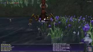 FFXI - PUP Guide『Automaton Skillchains』