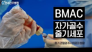 BMAC｜ 신의료기술, 자가골수 줄기세포 주사치료