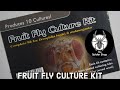 The Spider Shop Fruit Fly Culture Kit