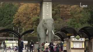 多摩動物公園駅