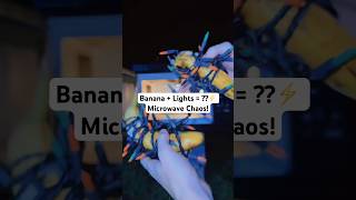 Microwaving a Banana Wrapped in Christmas Lights… Shocking Results!