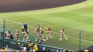 試合前のつば九郎　2024.7.10 阪神甲子園球場