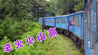 【斯里兰卡vlog】51-高山小火车，斯里兰卡不可错过的美景