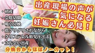 【特別編】エネン君ママ〜元気に出産！【トイプードルのEnen君♪】