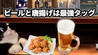 居酒屋で一人飲みした何気ない話【猫ミーム】