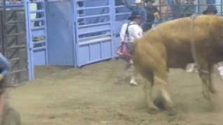 Bull riding in Rimbey