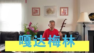 老爸的二胡｜《嘎达梅林》52弦 Erhu Solo: γada meyiren (Mongolian Love Story)