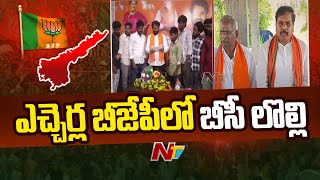 ఎచ్చెర్ల బీజేపీలో బీసీ లొల్లి | Etcherla | AP BJP | Ntv