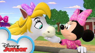Minnie & Daisy Horseback Ride 🐴| Mickey Mornings | Mickey Mouse Mixed-Up Adventures | @disneyjunior