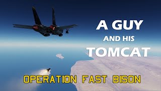 A Guy and His Tomcat - Operation Fast Bison**